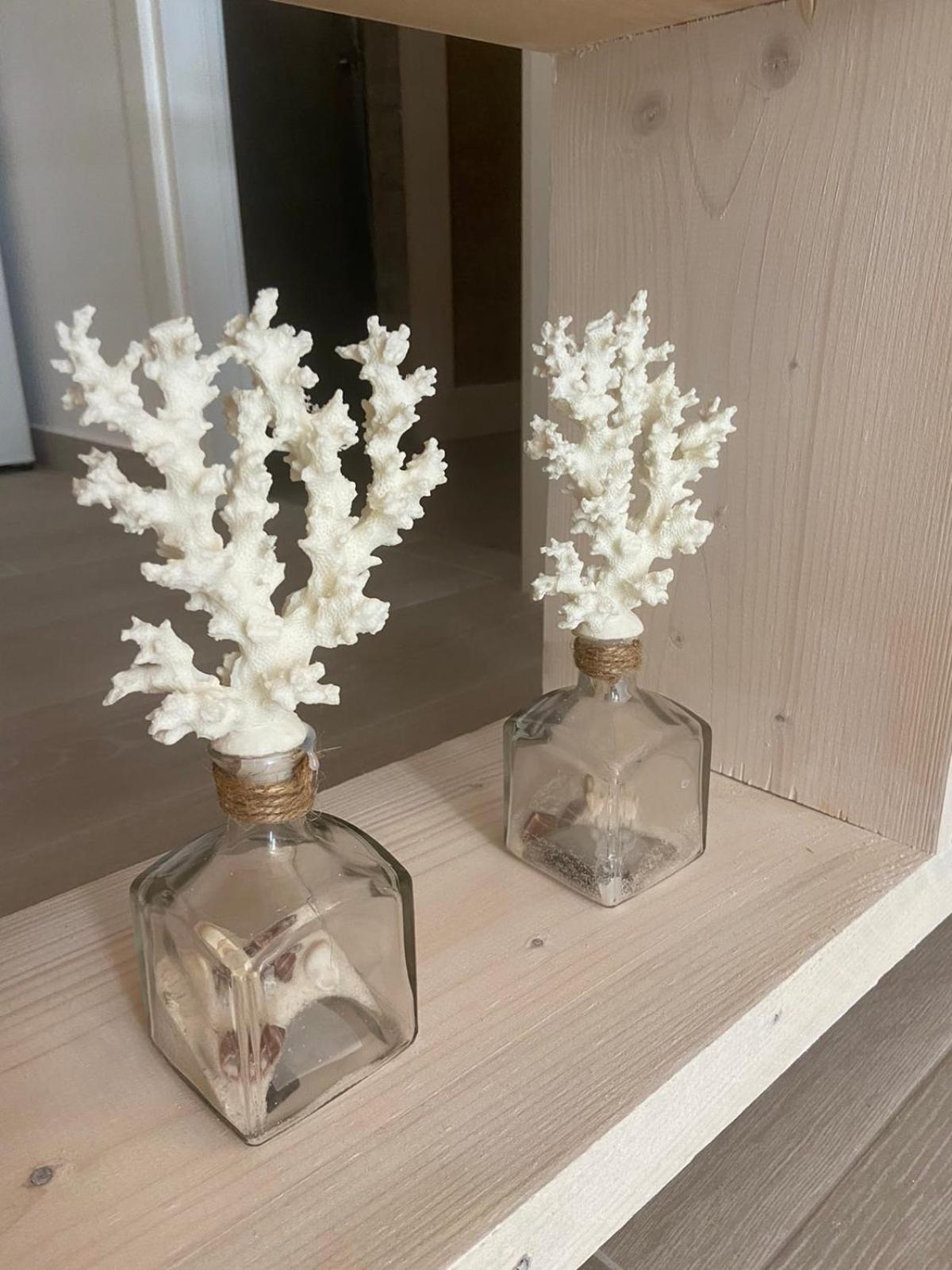 Daire Linari Bohemian Living
